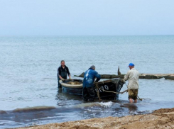 Из Азовского моря в Ростовской области могут исчезнуть лещ, судак и тарань