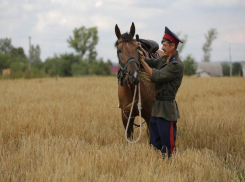 Земли казаков в Ростовской области могут вернуть муниципалитетам
