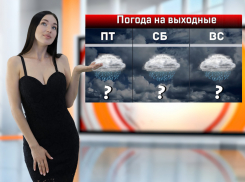 В Ростове в последние выходные мая будет жарко и дождливо