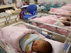 Рожать в Ростове предпочитают на окраине и в Нахичевани