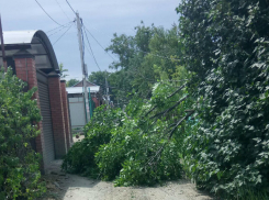 Ураганный ветер оборвал крышу и повалил деревья в Ростове 