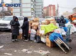 В Ростовской области наведут порядок в нестационарной торговле 