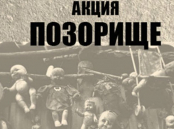 В Ростове пройдет инсталляция, посвященная ситуации вокруг Театра Кукол 