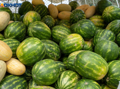 В Ростовской области пройдут ярмарки выходного дня