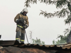 Мощный пожар уничтожил свежепосаженные клены в Ростове на видео