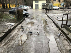 Ростовский активист предложил раз в месяц «катать» Кушнарева по городским улицам и знакомить с недостатками