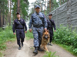 Двухлетнего ребенка, который пропал с турбазы в Ростове, нашла полиция 