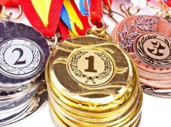 На премии участникам Олимпийских игр в Рио  из Ростова выделено 27 миллионов рублей 