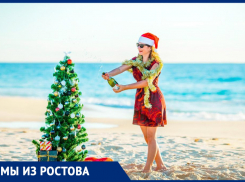 «Новый год тут летом, а сейчас зима и холод»: ростовчанка — о дорогой жизни в Австралии, улыбчивых местных и любви к животным