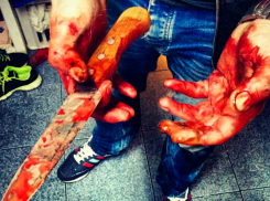 Обезумевший житель Ростовской области зарезал ножом своего сына и невестку