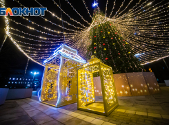 В Ростове-на-Дону демонтаж новогодних украшений начнут 24 января 