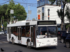 Куда денутся новые автобусы в Ростове после чемпионата мира по футболу