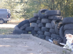 В Ростове факт незаконного сброса автопокрышек зафиксирован в СНТ «Виноградарь»