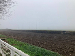 Собственник Ростовского ипподрома разрешил оставить лошадей, но ввёл строгие условия