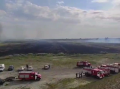 В Ростовской области ликвидирован лесной пожар площадью 9 гектаров