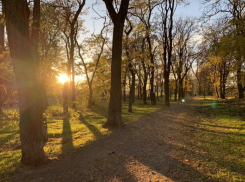 Алексей Логвиненко сделал заявление по парку 8 марта