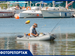 «Ни хвоста, ни чешуи!»: фотокорреспондент «Блокнот Ростов» нашел на Дону рыбные места