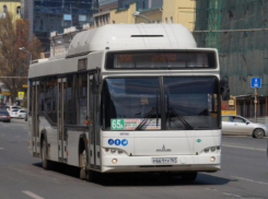 В Ростове общественный транспорт переведут на брутто-контракты после 2027 года 