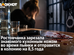 Ростовчанка ударила ножом гостя во время застолья и получила 8,5 года колонии