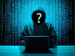 В Ростовской области число жалоб на кибермошенников в 2023 году выросло на 40%