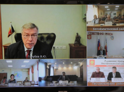 Губернатор призвал избегать этнических конфликтов в Ростовской области