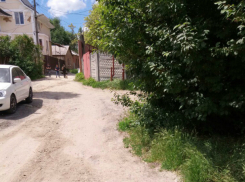 Жителей Ростова возмутила «асфальтовая» несправедливость властей