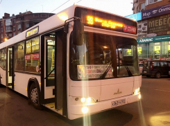 «Янтарь 1» оштрафовали на 2,3 млн рублей по иску департамента транспорта Ростова