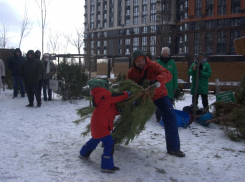 На чемпионате по ёлкометанию в Ростове побили рекорд
