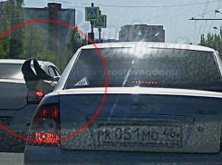 Торчащие из автомобиля гостей Ростова ноги вызвали бурные эмоции горожан