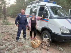В Ростовской области грибница забралась на вышку, чтобы ее нашли спасатели