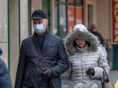 Ростов и Неклиновский район лидируют по числу случаев коронавируса за сутки