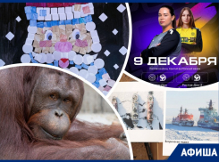 Поддерживаем «Ростов-Дон», любуемся Арктикой и создаем деда Мороза: куда пойти в Ростове на этой неделе