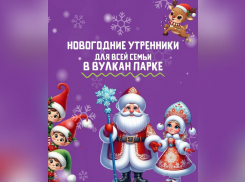 УСЛУГА ДНЯ: Новогодний утренник для всей семьи в Вулкан Парке
