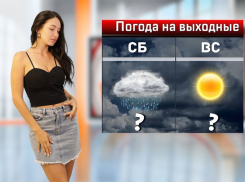 Гроза, ливни и град ожидаются в Ростовской области на выходных