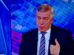 «Вопросов больше, чем ответов»: Голубев объяснил, почему власти не замечали нелегальные рынки под Ростовом