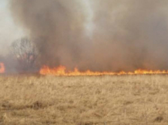 Дымом от стихийного пожара на Зеленом острове заволокло центр Ростова