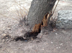 Опасность для жизни ростовчан оставила их наедине с ЖЭУ, ушедшим в отказ