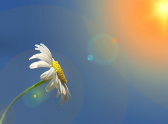 Жара до +34 градусов ожидает ростовчан во вторник