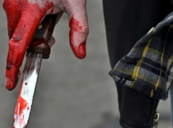 В Ростовской области разыскивают убийцу, хладнокровно зарезавшего семиклассника