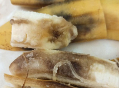 Прокуратура выяснит, зачем детей кормили гнилыми продуктами в детском саду в Ростовской области