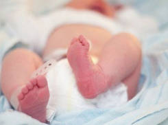 Новорожденного мальчика выбросили на трассе М-4 «Дон»