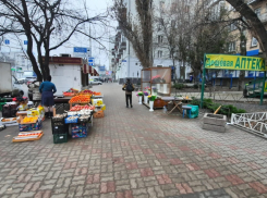 С начала года в Ростове выписали 428 протоколов за нелегальную торговлю