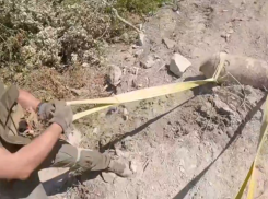 На Кубани донские саперы уничтожили три авиабомбы