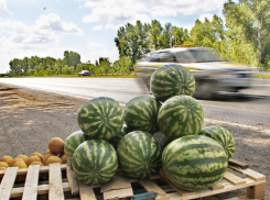 Губернатор Голубев раскритиковал придорожную торговлю арбузами