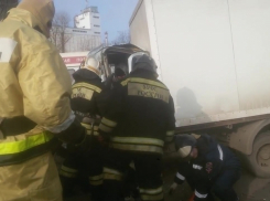 В Ростове на Доватора водитель «Газели» врезался в дерево и впал в кому