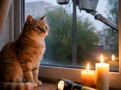 Свет временно отключат в нескольких районах Ростова