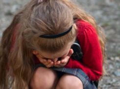 Пьяный 26-летний дончанин изнасиловал 9-летнюю соседку