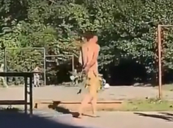 Обнаженный мужчина с веточкой промеж ног прогулялся по детской площадке Ростова и попал на видео