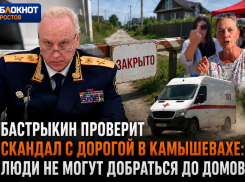 Бастрыкин потребовал доклад по ситуации с дорогой в хуторе Камышеваха Ростовской области