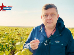 «Верните рынки сбыта!»: Олег Пахолков потребовал спасти сельское хозяйство запретом крупных торговых сетей